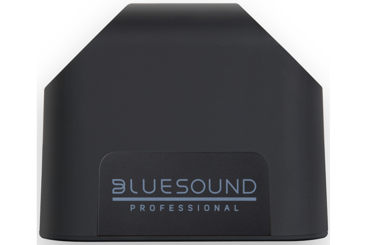Bluesound Professional BSP200 PoE+