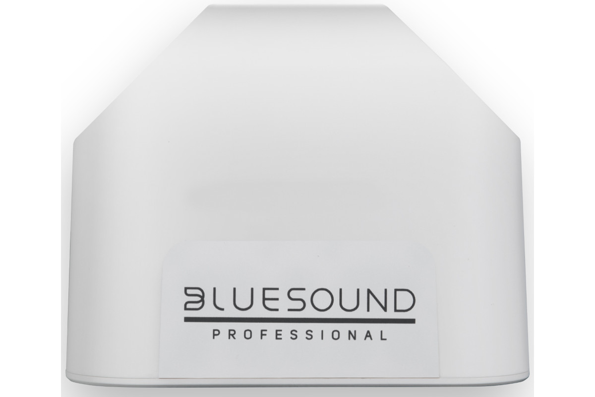 Bluesound Professional BSP200 PoE+