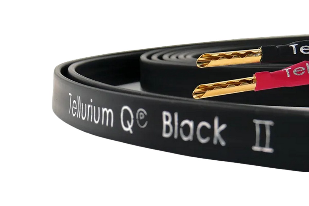 Tellurium Q Black II Speaker