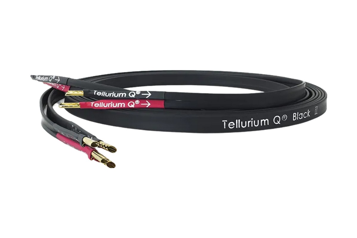 Tellurium Q Black II Speaker