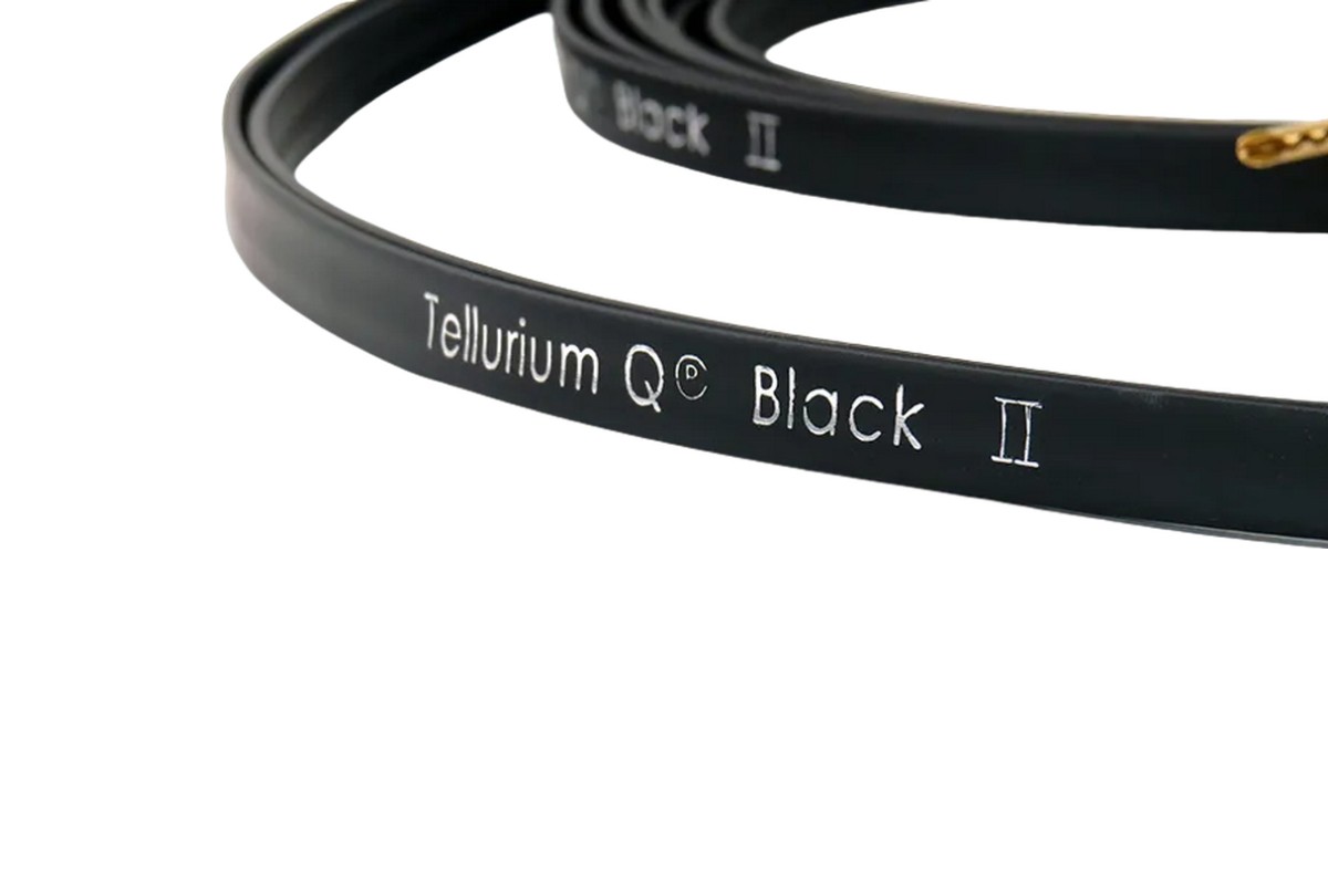 Tellurium Q Black II Speaker